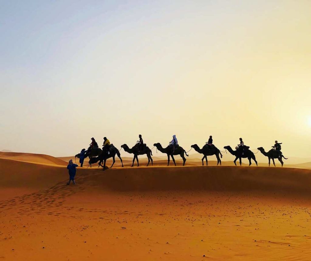 Top 10 facts about the Sahara Desert - Discover Walks Blog