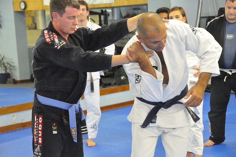 Top 10 Fascinating Facts about Royce Gracie - Discover Walks Blog